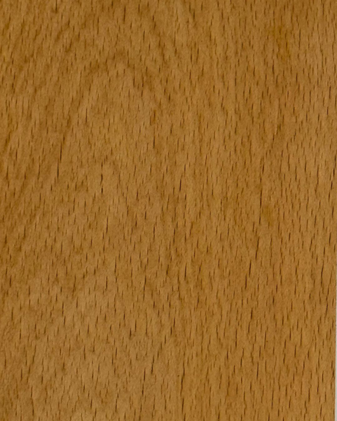 Beech