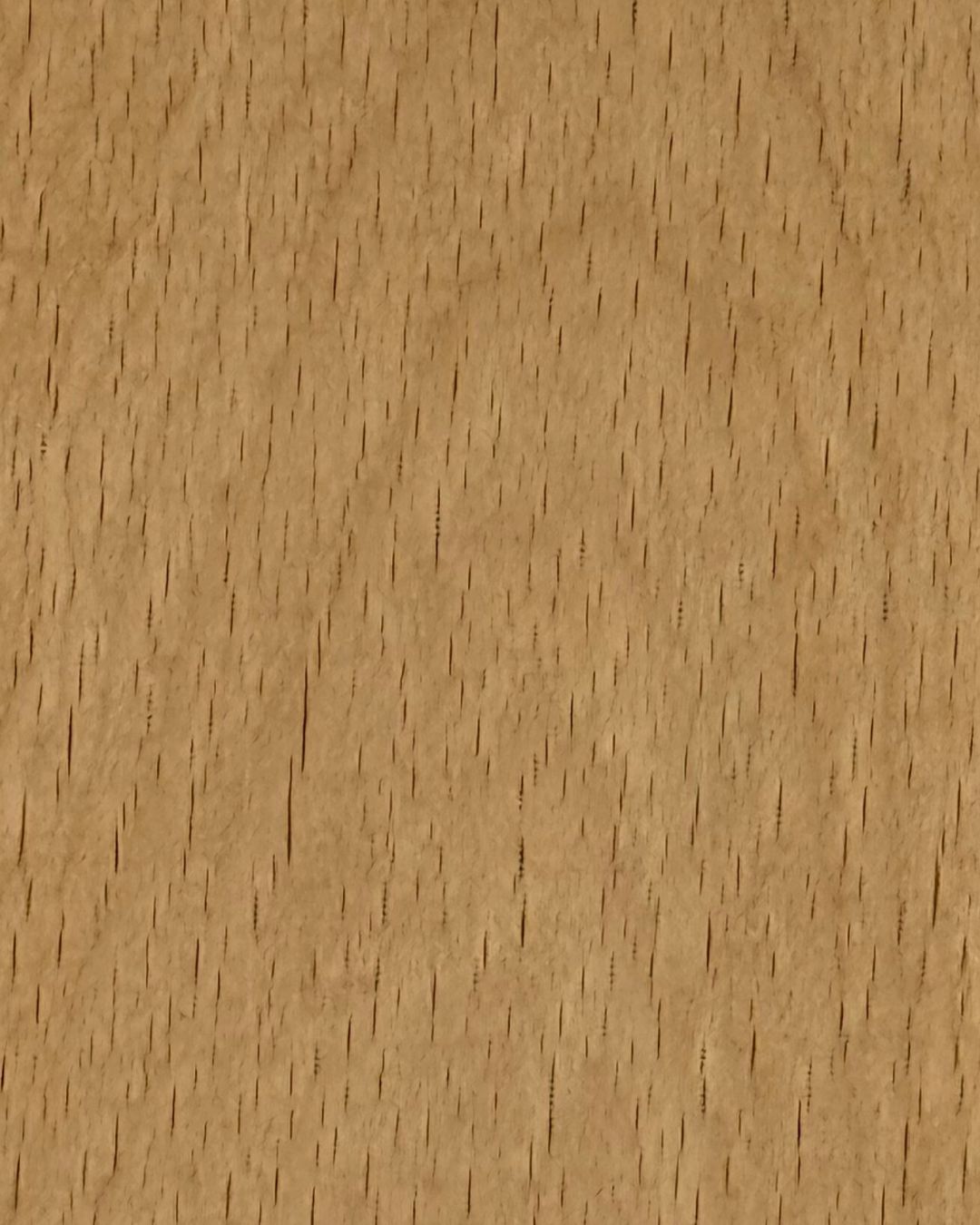 Beech