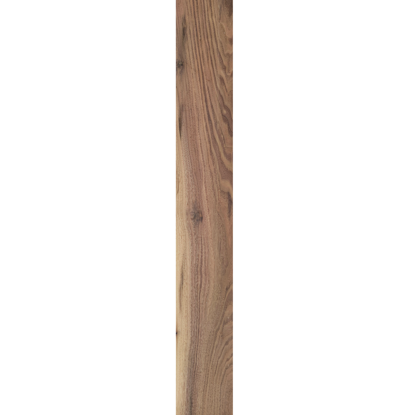 Black Walnut