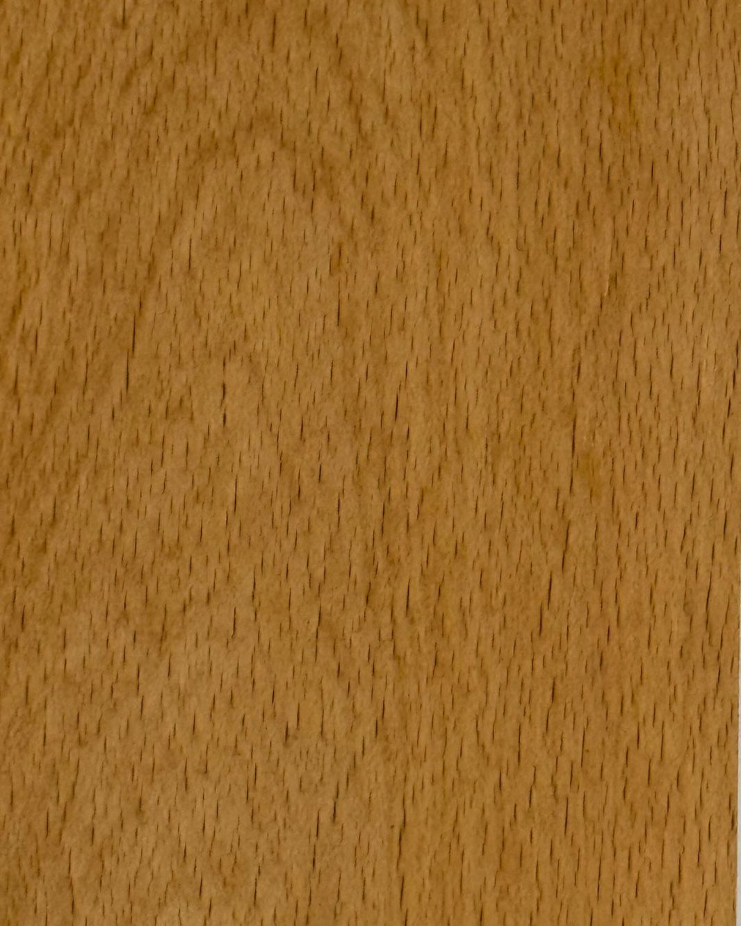 TIMBER – The Wood Depot