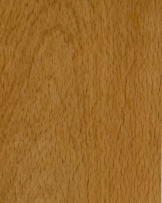 Beech