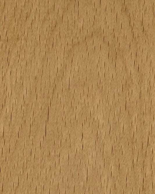 Beech