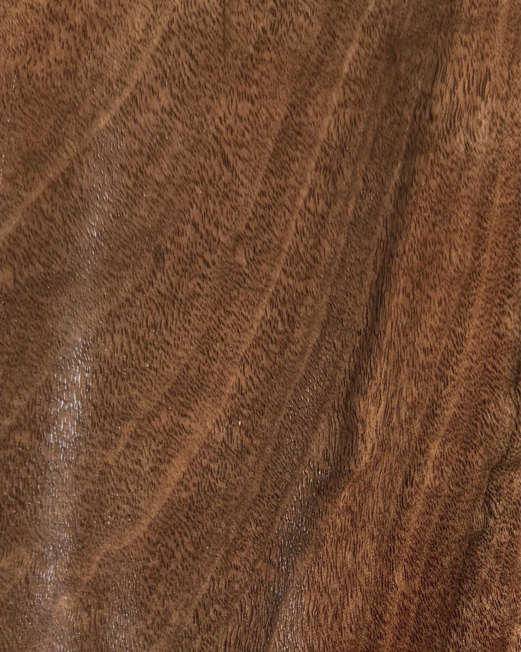 TIMBER – The Wood Depot