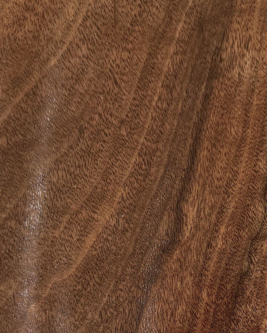 Black Walnut