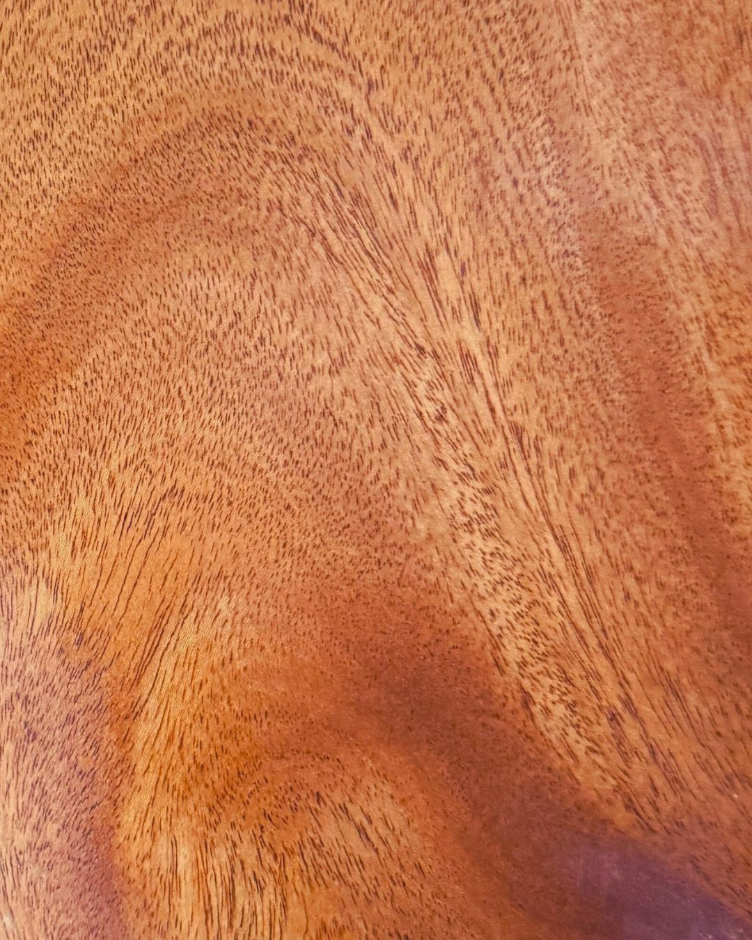 African Mahagony